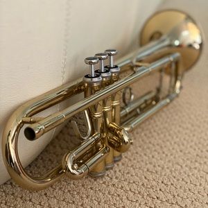 Meet your Posher, Louis